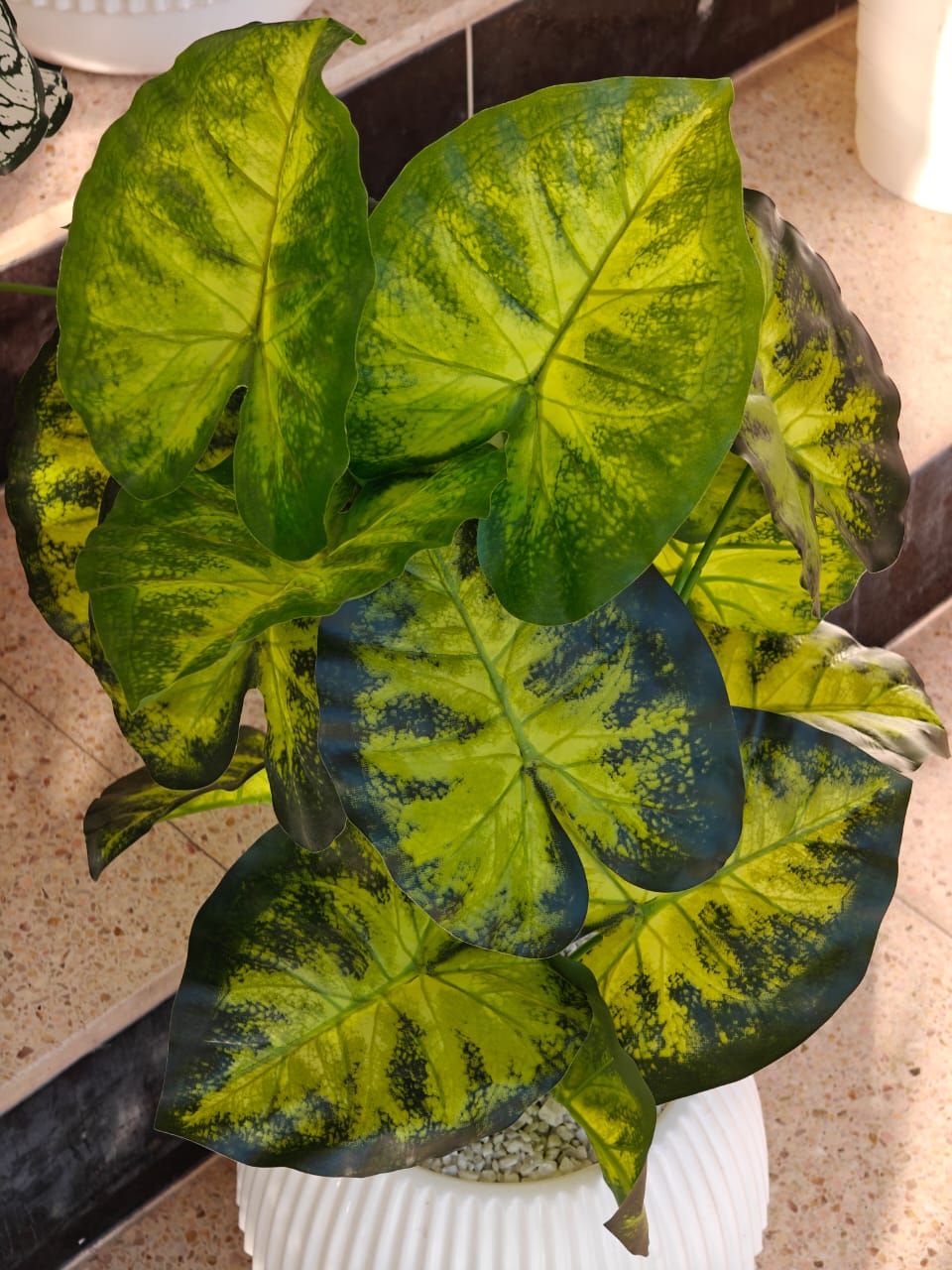 Plante artificielle
