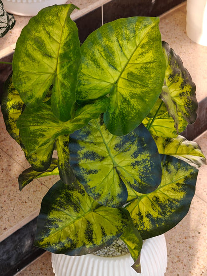 Plante artificielle
