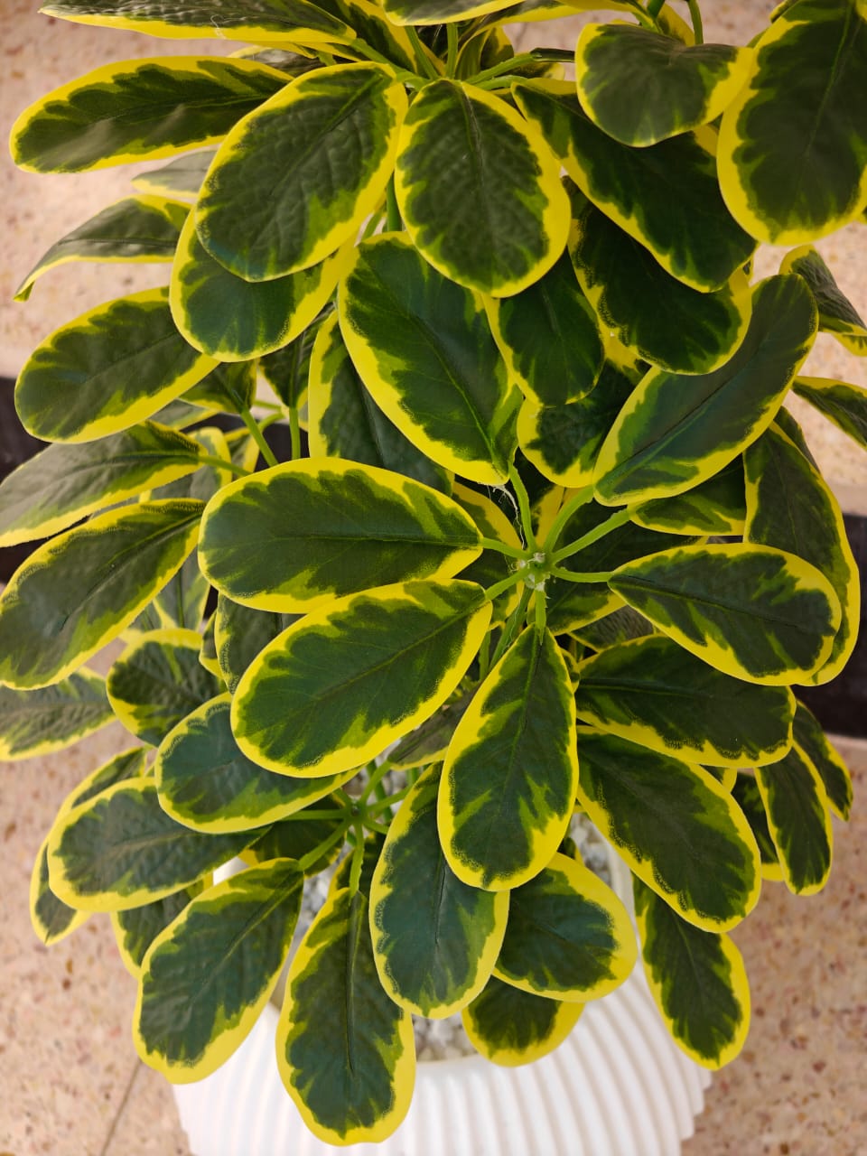Plante artificielle