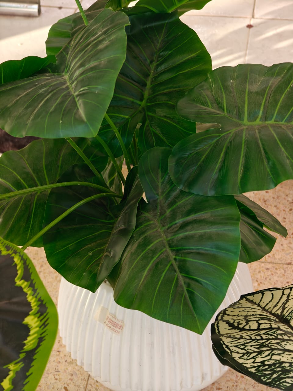 Plante artificielle