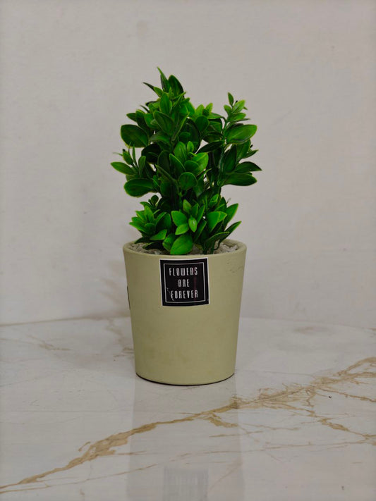 Plante artificielle
