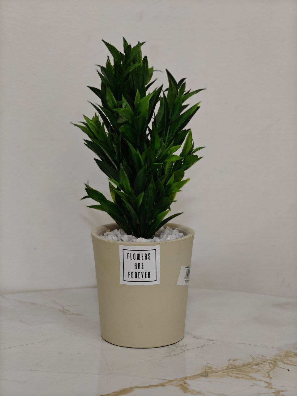 Plante artificielle