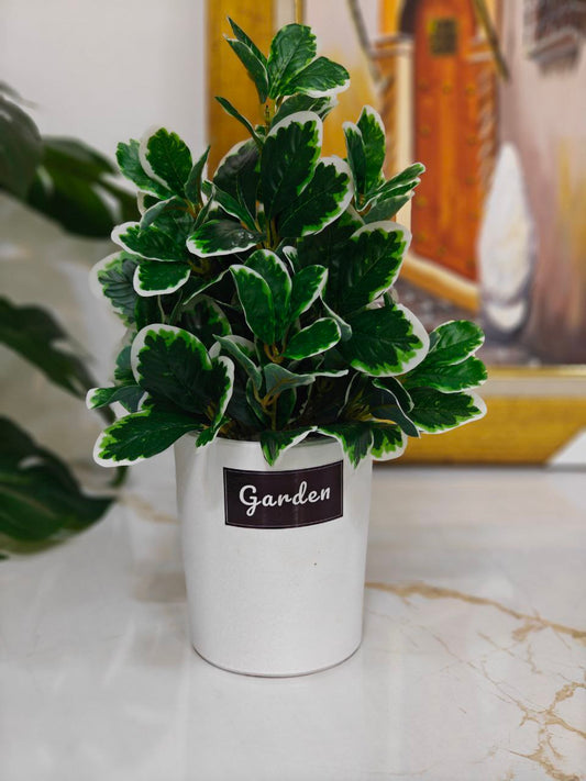 Plante artificielle blanc
