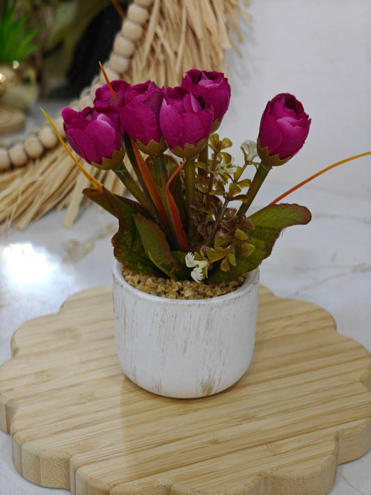 Plante a fleurs