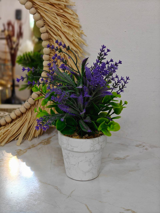 Plante art fleurs violé