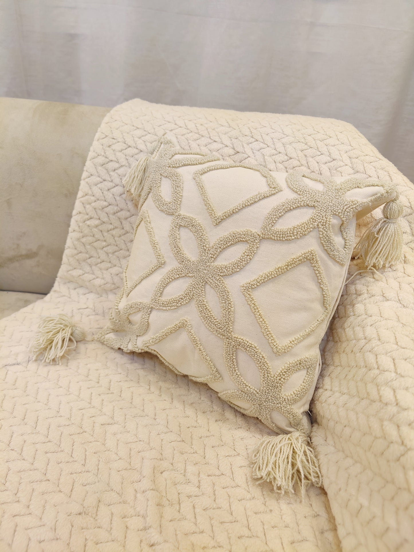 Coussin pic pic beige ( vide )