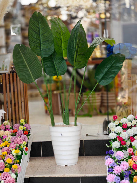 Plante art 1.35 cm