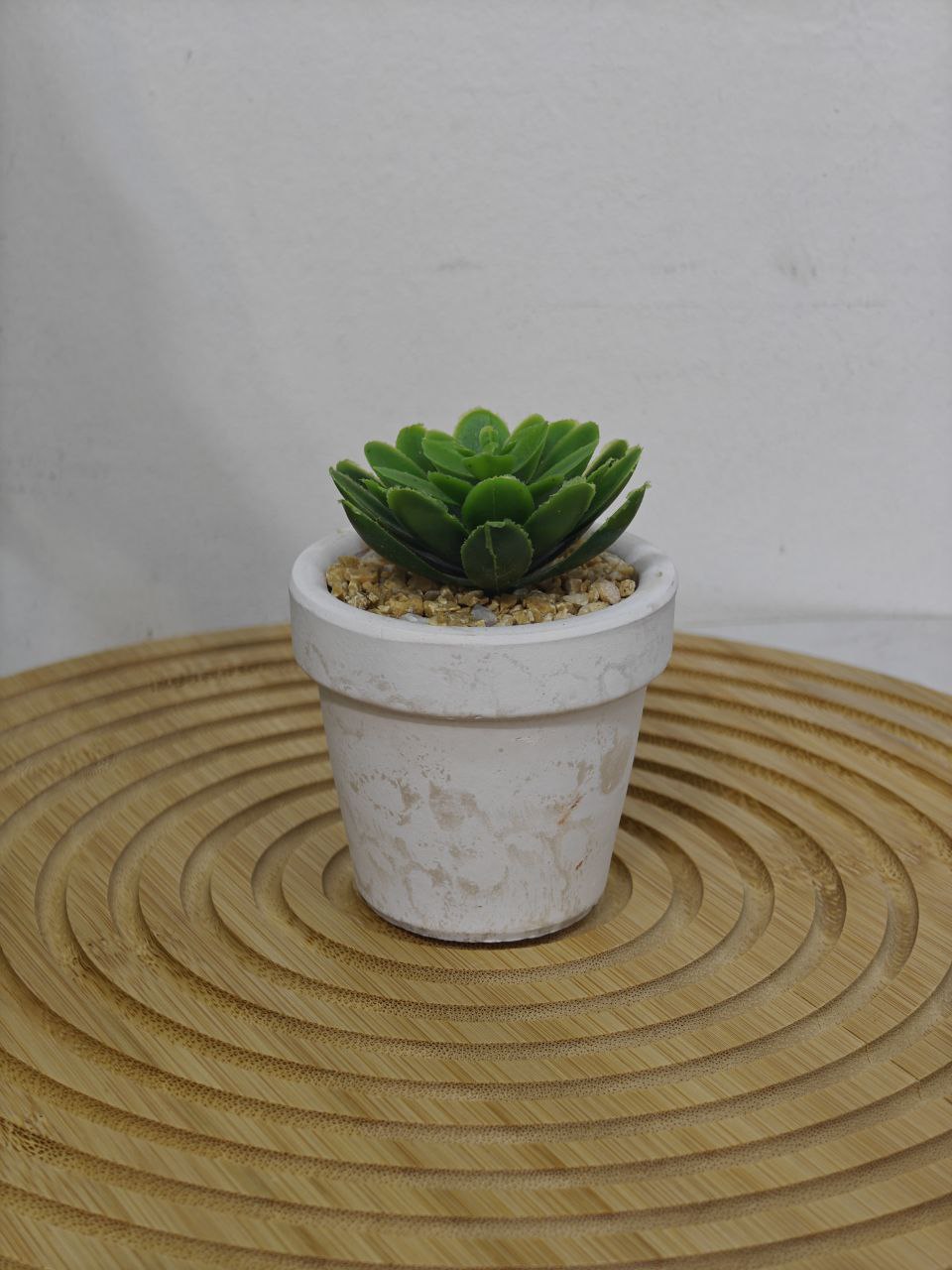 Plante pm