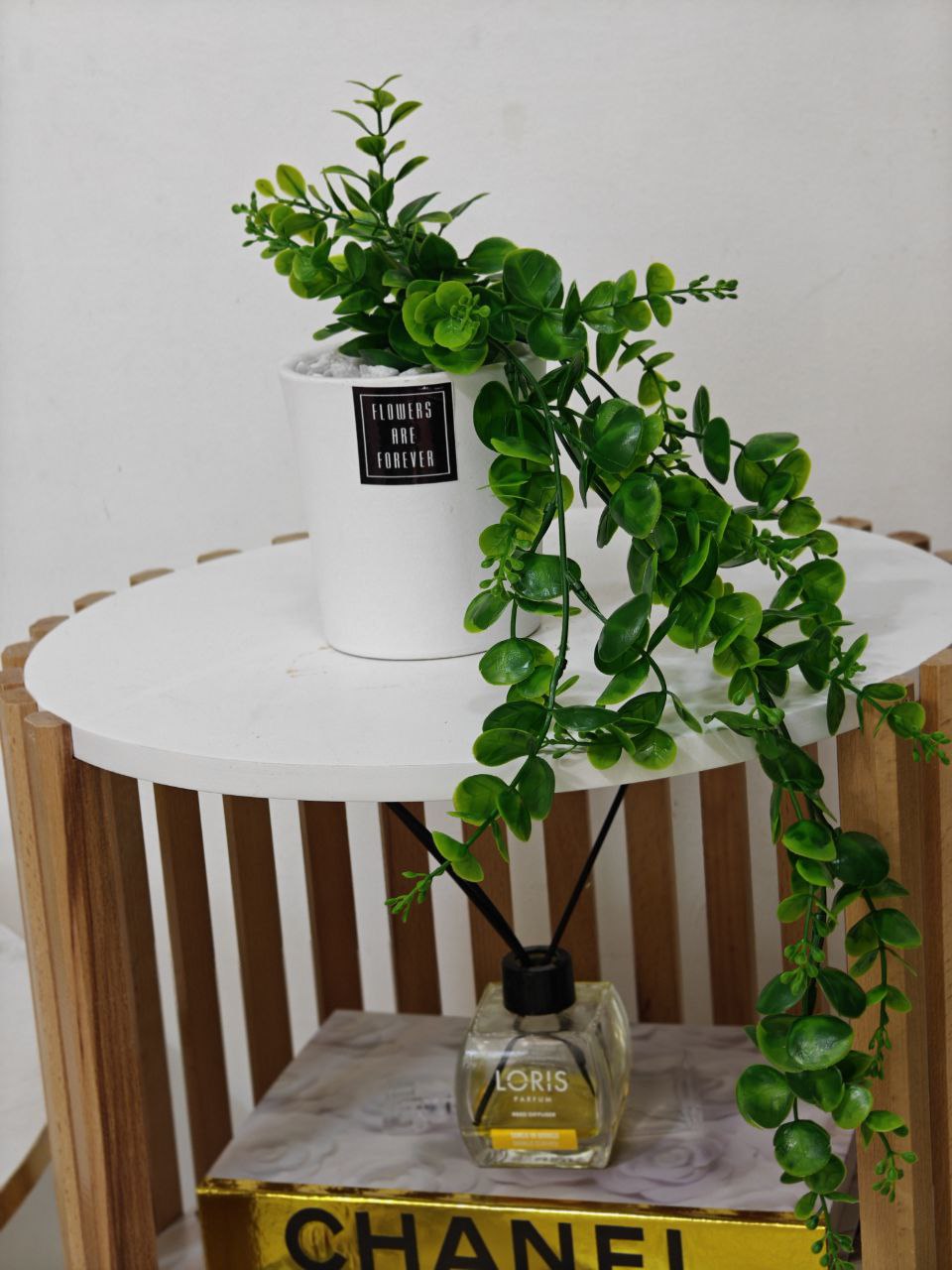 Plante art nv23