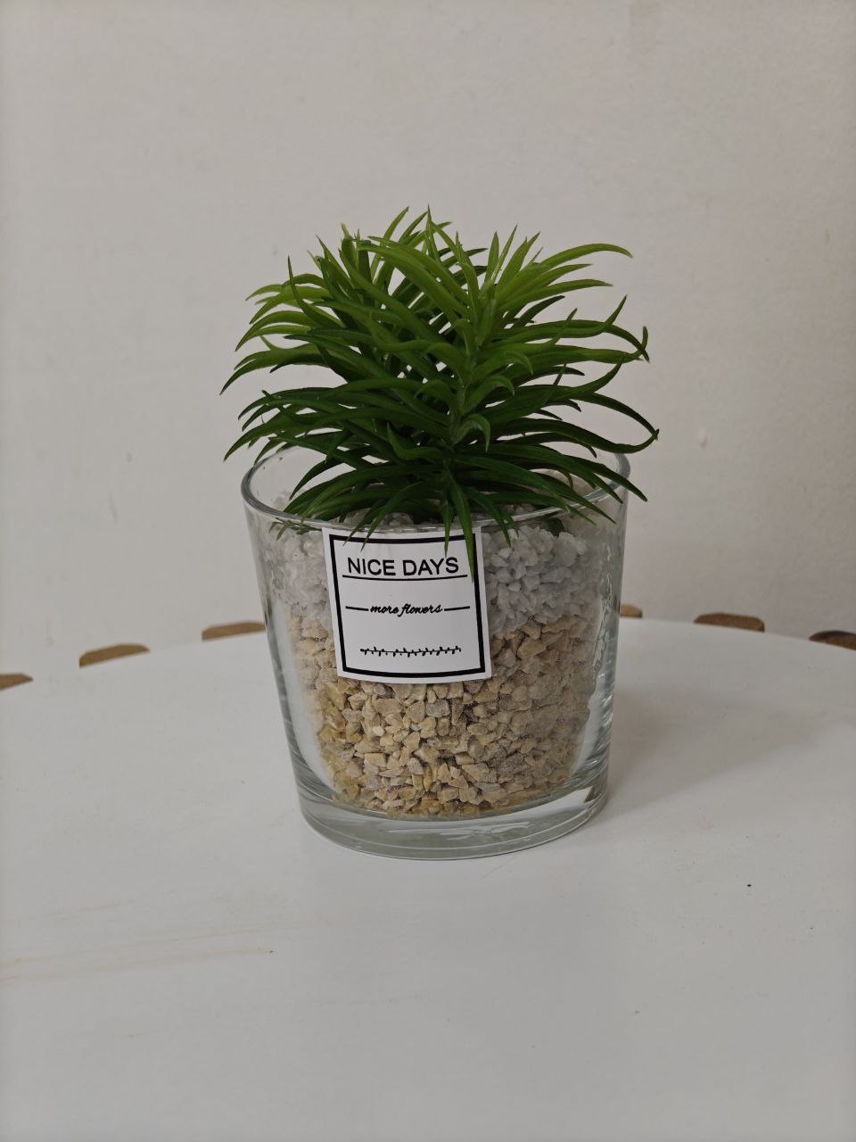Plante pot transparent
