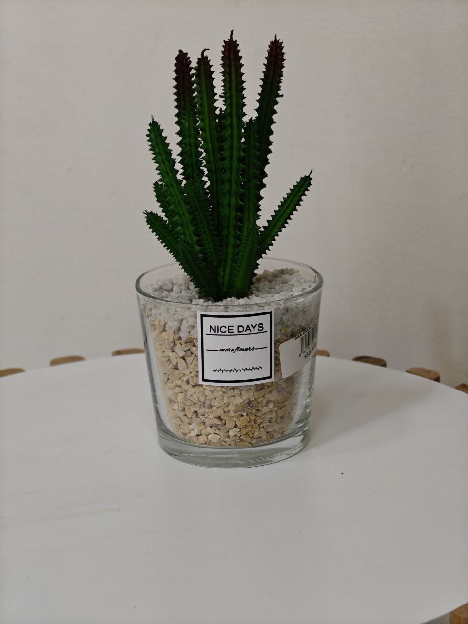 Plante pot transparent