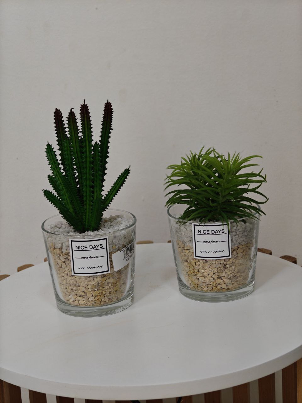 Plante pot transparent