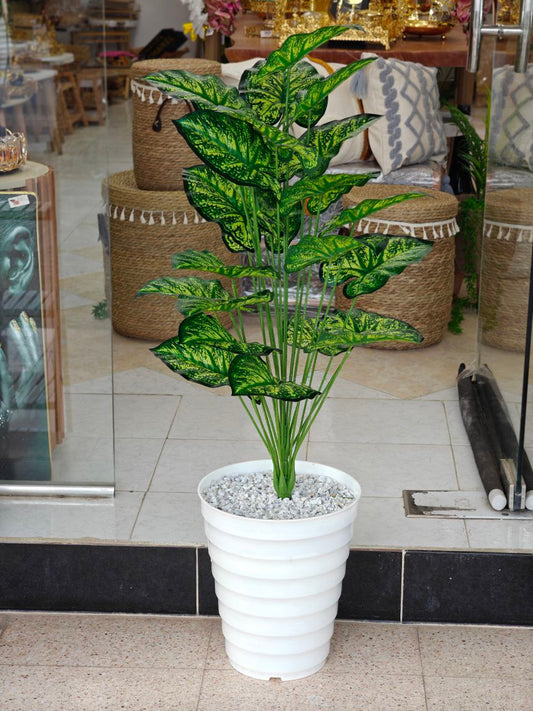 Plante art 1.10 cm