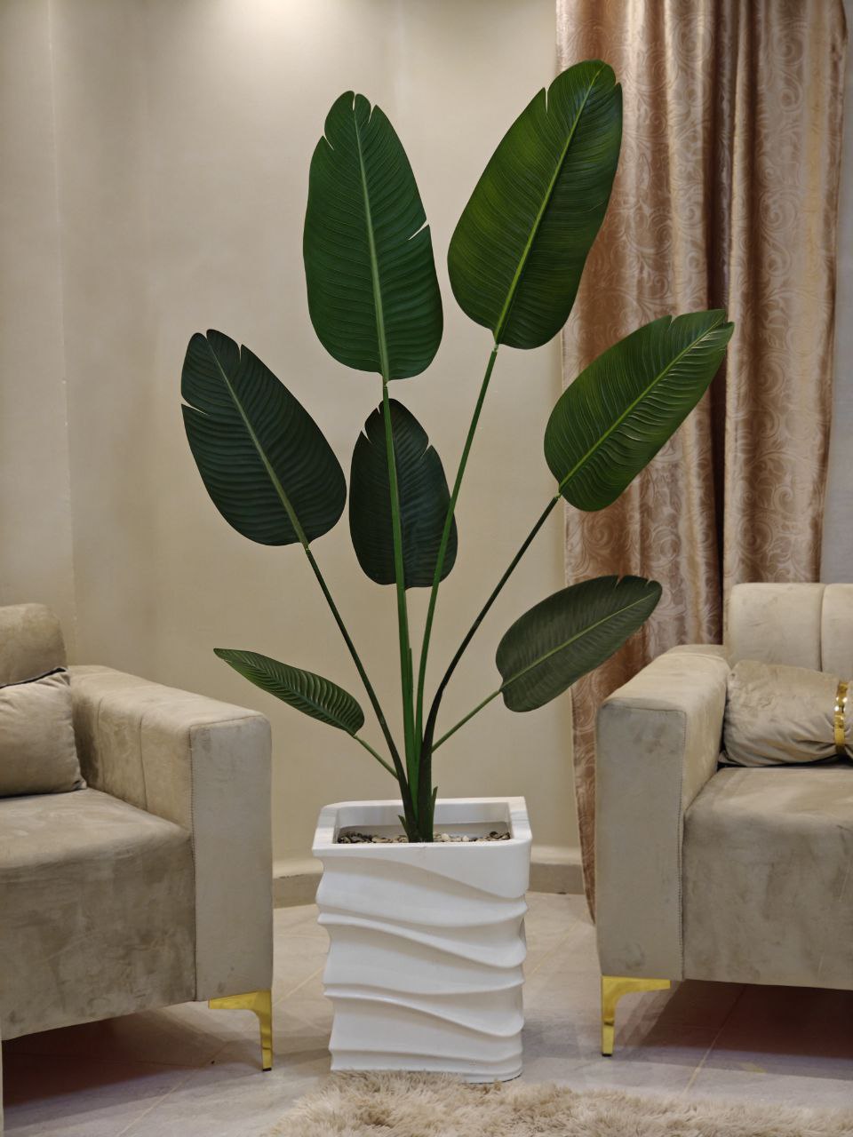 Plante art grand format caré