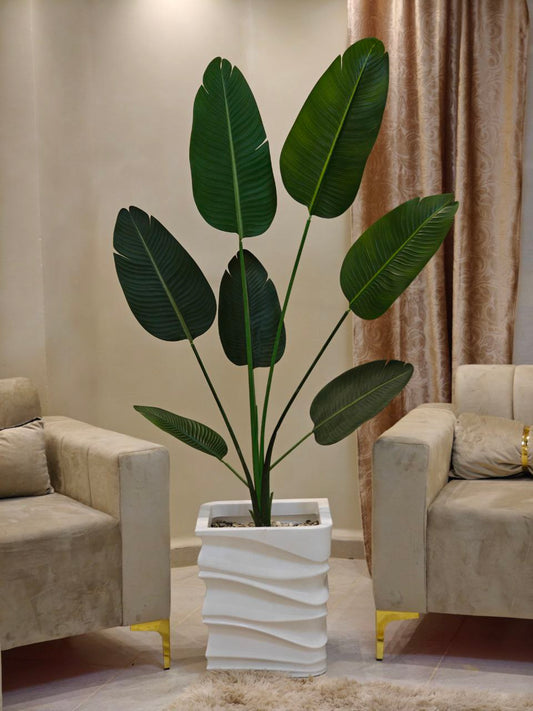 Plante art grand format caré