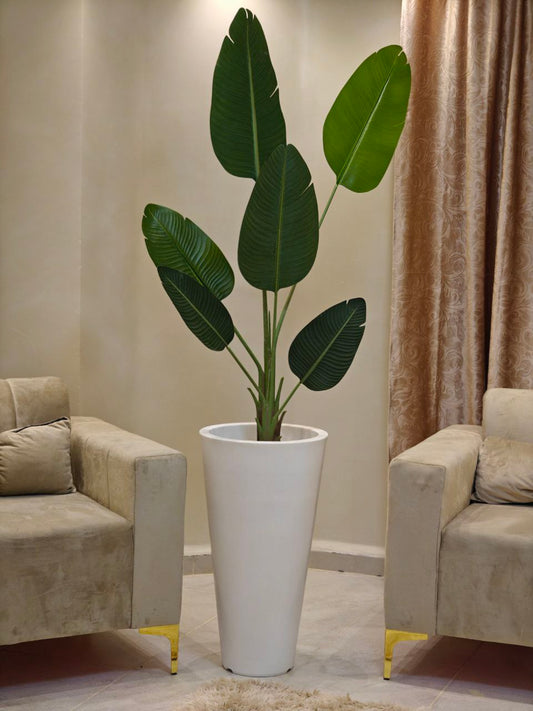 Plante art grand modèle nv