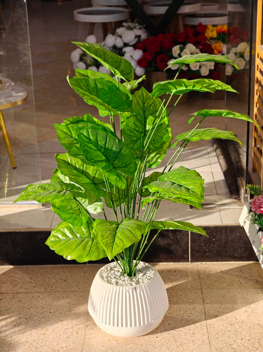 Plante artificielle nv