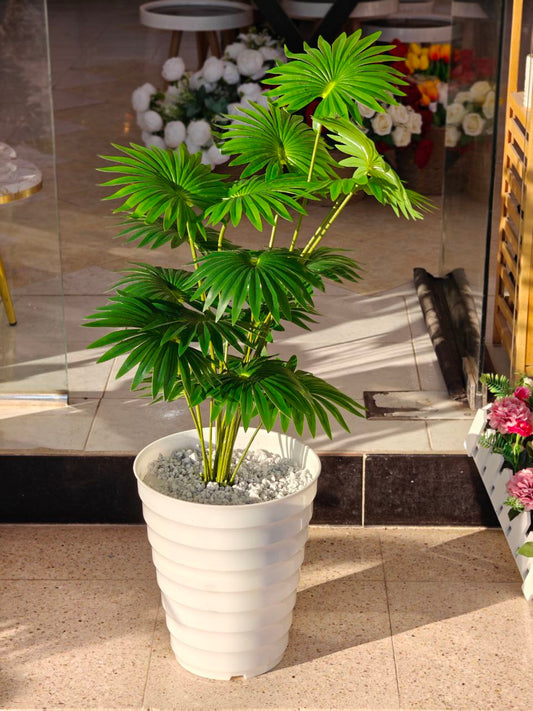Plante art nv