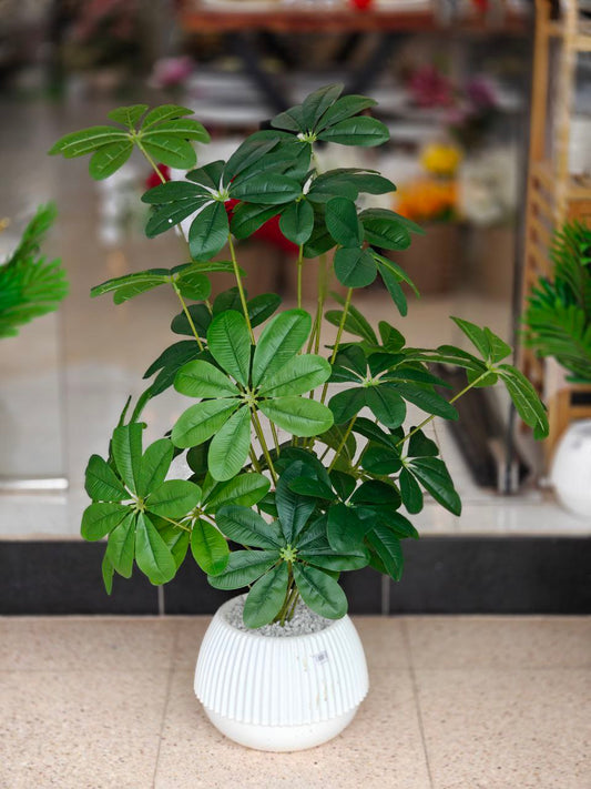 Plante art 1 mètre nv
