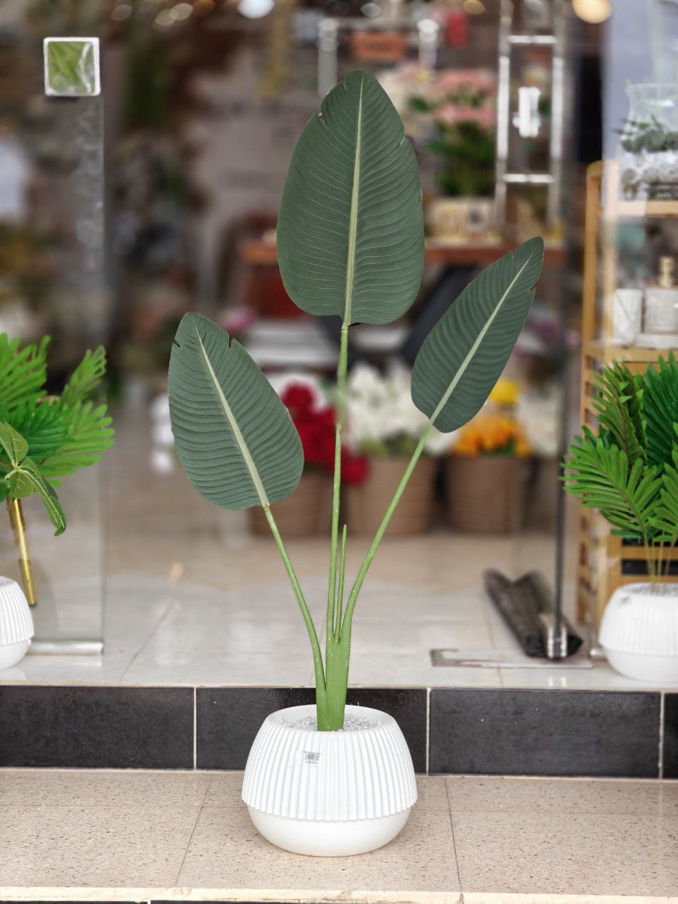 Plante banane art 1.15 m