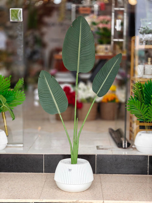 Plante banane art 1.15 m