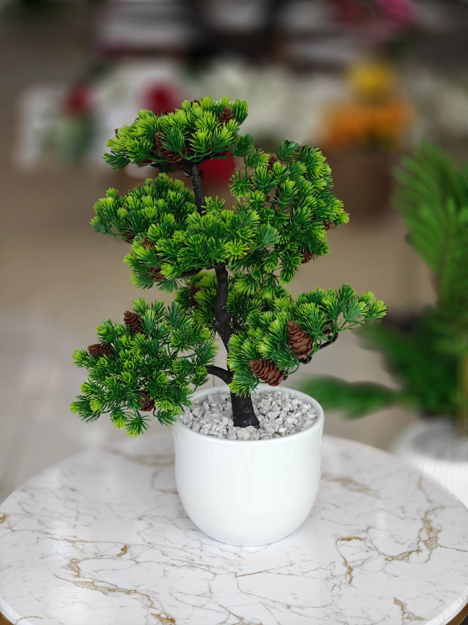 Bonsai pot blanc