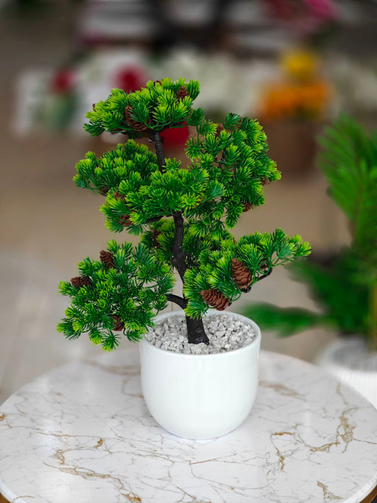 Bonsai pot blanc