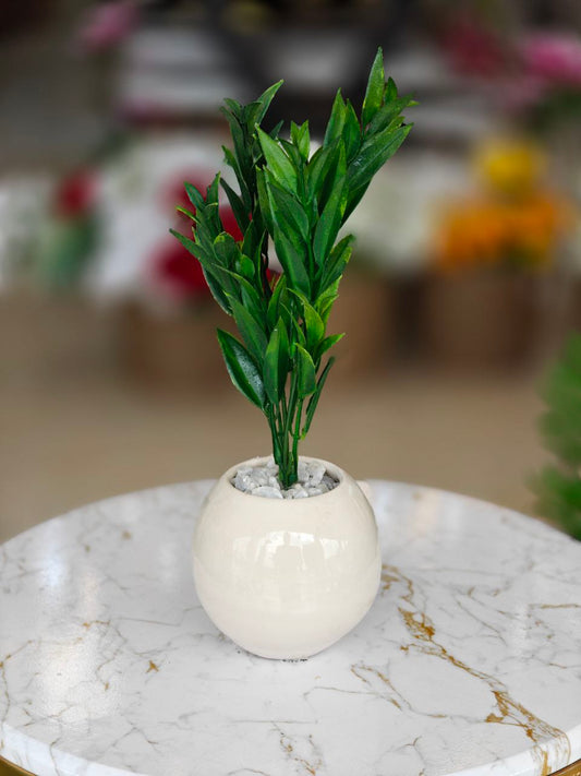 Plante artificielle pm