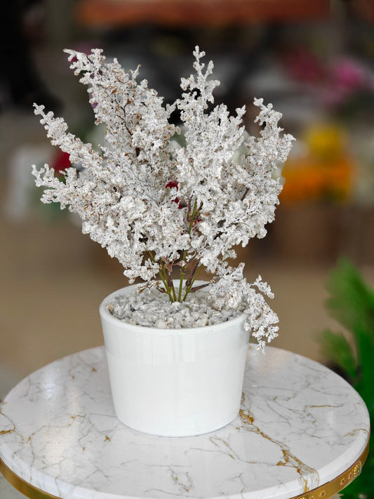 Plante art tige