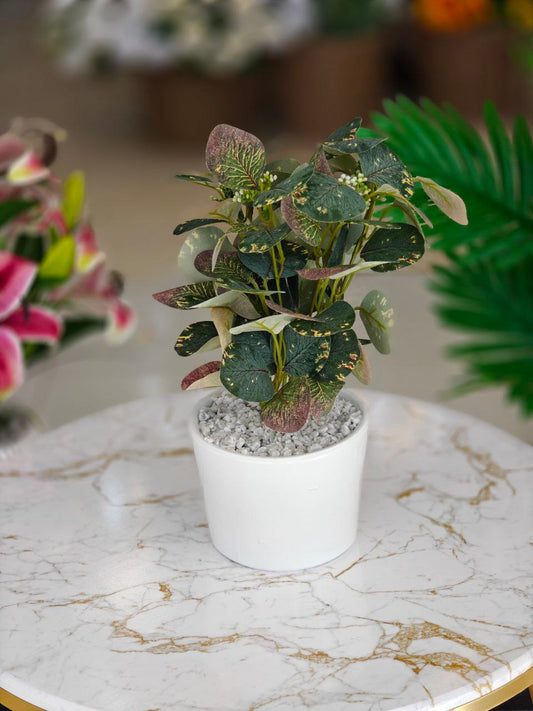 Plante art pot blanc nv