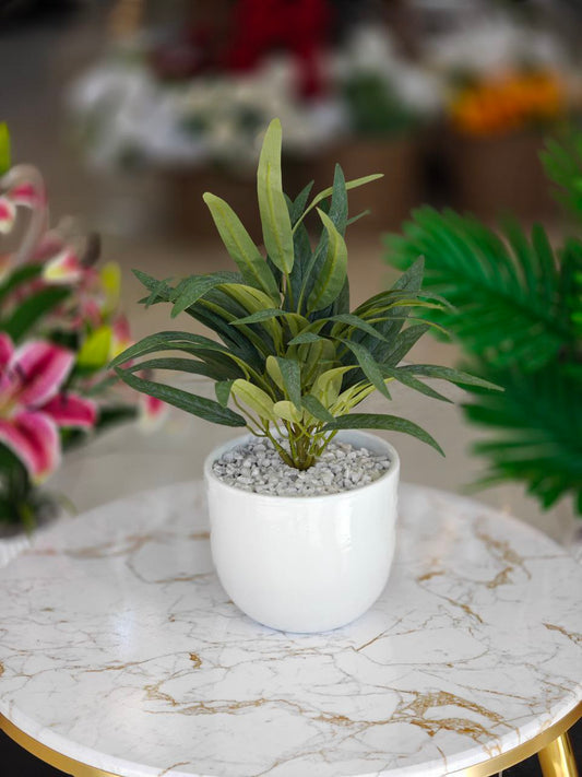 Plante art pot blanc nvv