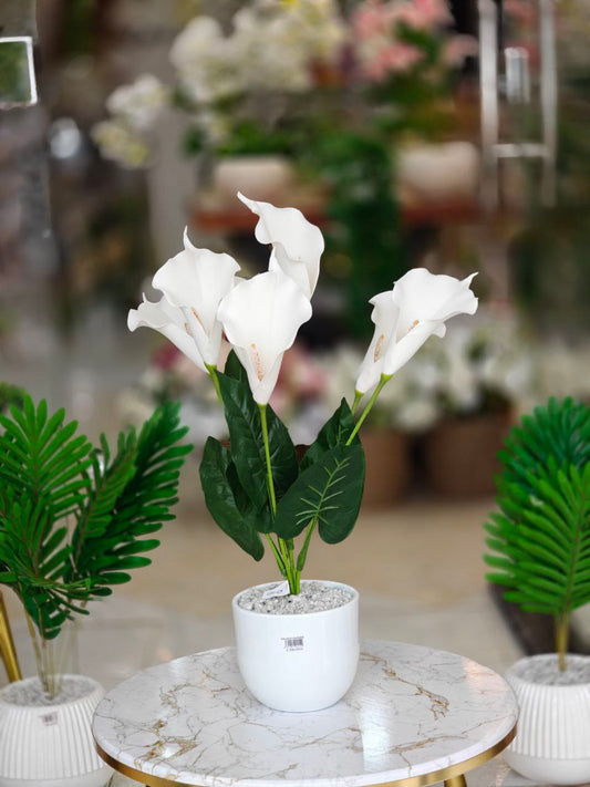 Plante callas artificielle