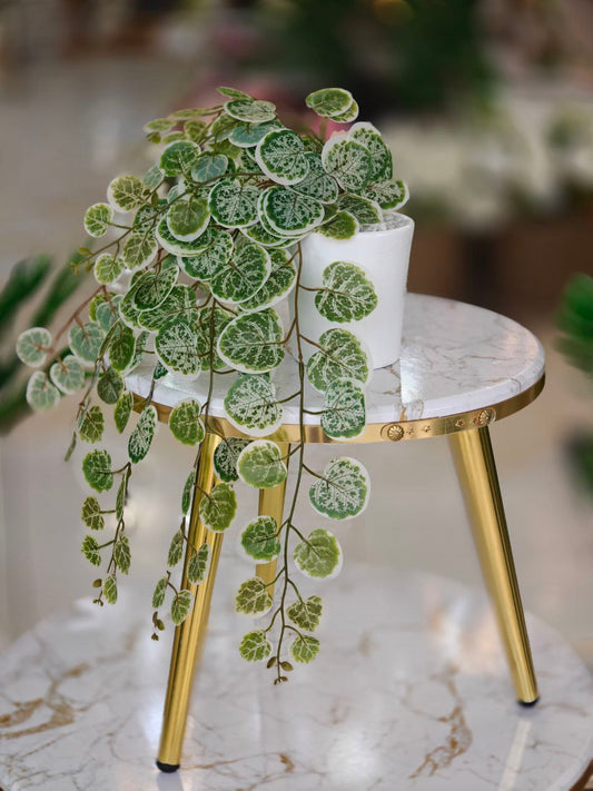 Plante artificielle 'nv