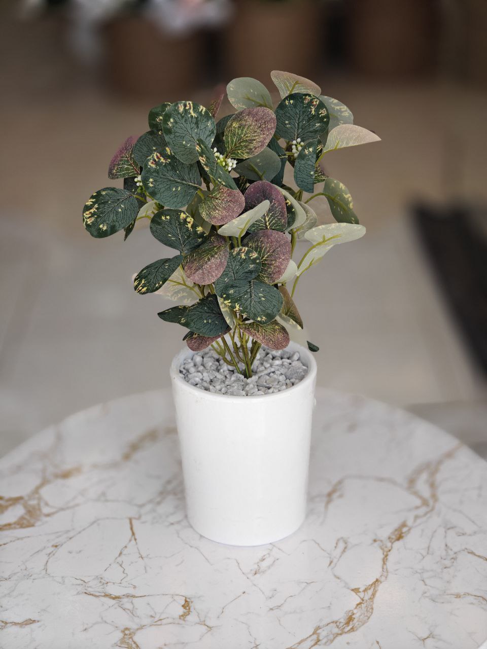 Plante art nv pot blanc,