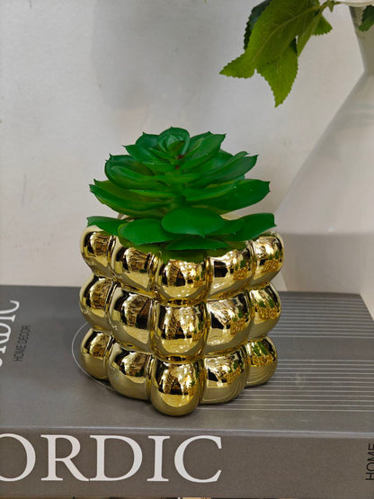 Plante art doré complet