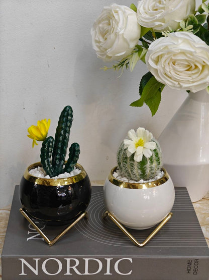 Plante support doré..