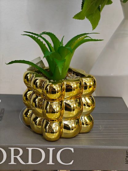 Plante art doré complet