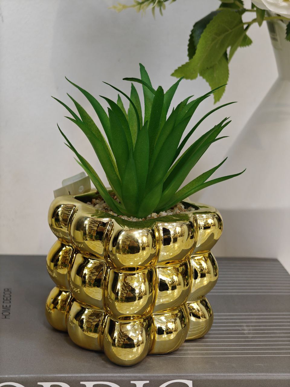 Plante art doré complet