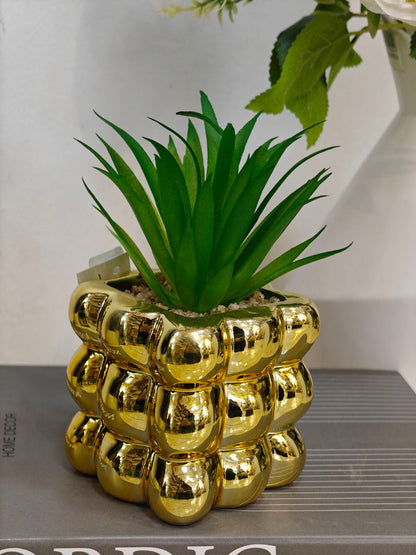 Plante art doré complet