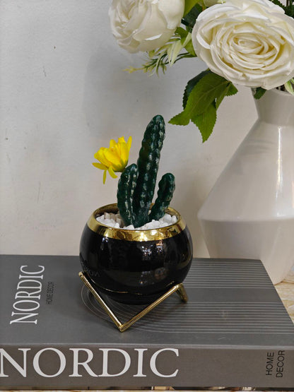 Plante support doré..