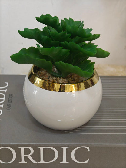 Plante blanc bordure doré