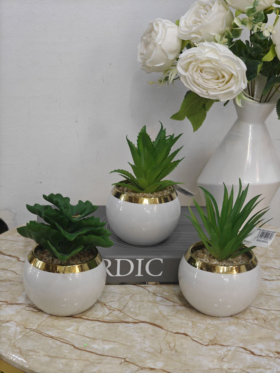 Plante blanc bordure doré