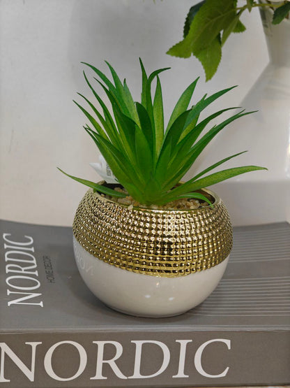 Plante art blanc doré