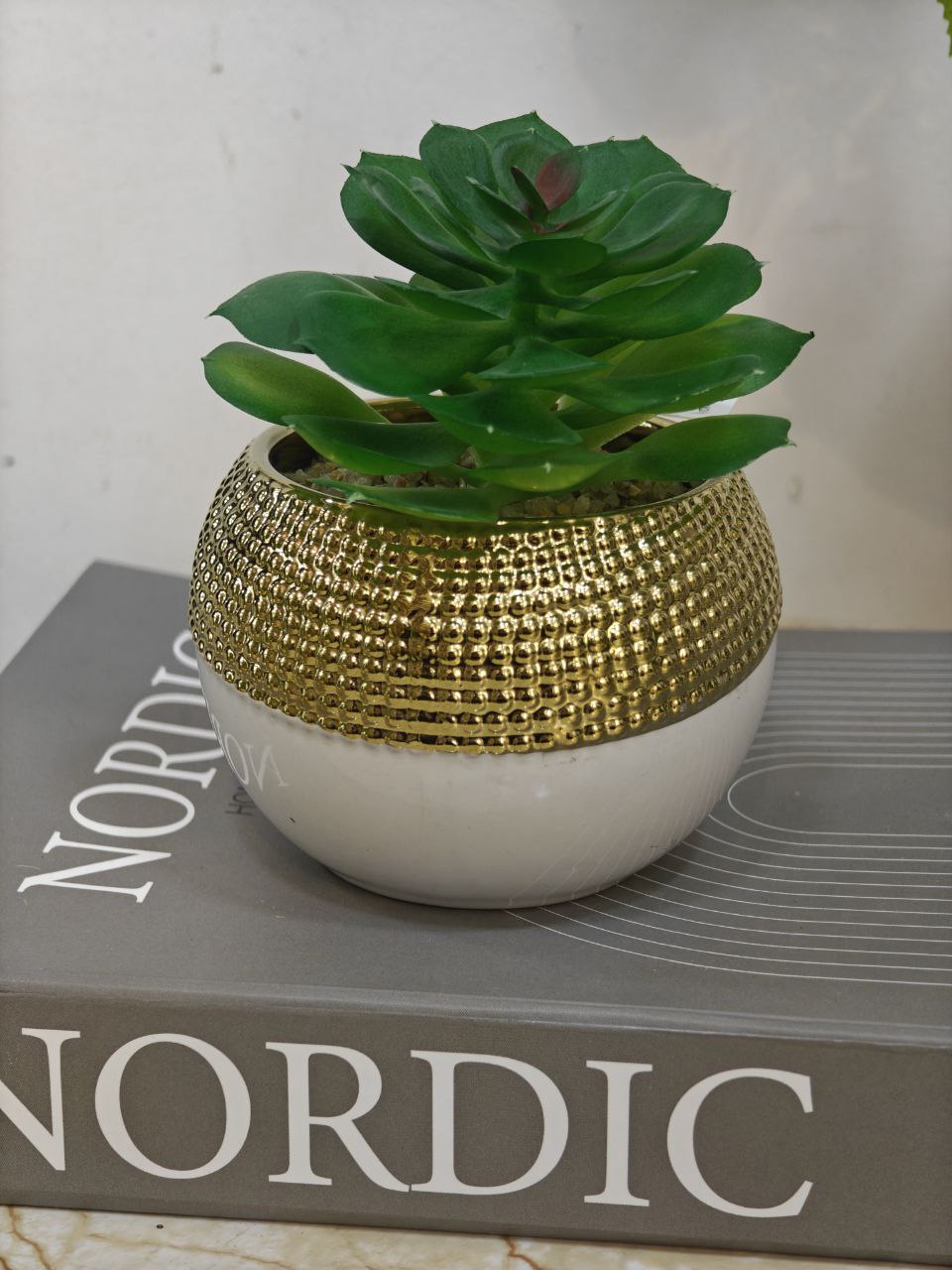 Plante art blanc doré