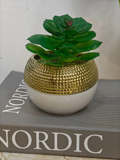 Plante art blanc doré