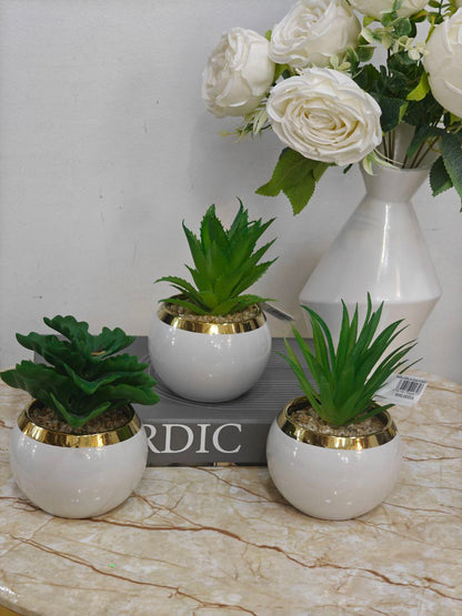 Plante art blanc doré