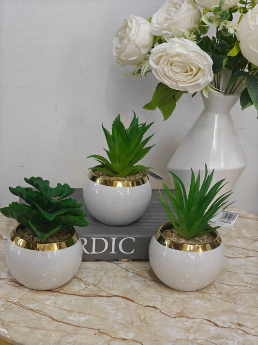 Plante art blanc doré