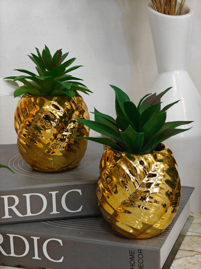 Plante doré complet ( 1 pcs )