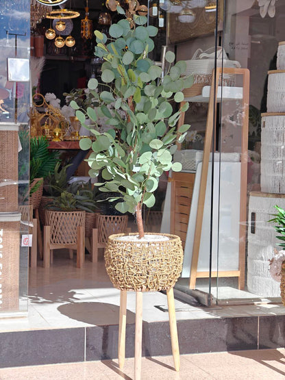 Cache pot osier pieds bois