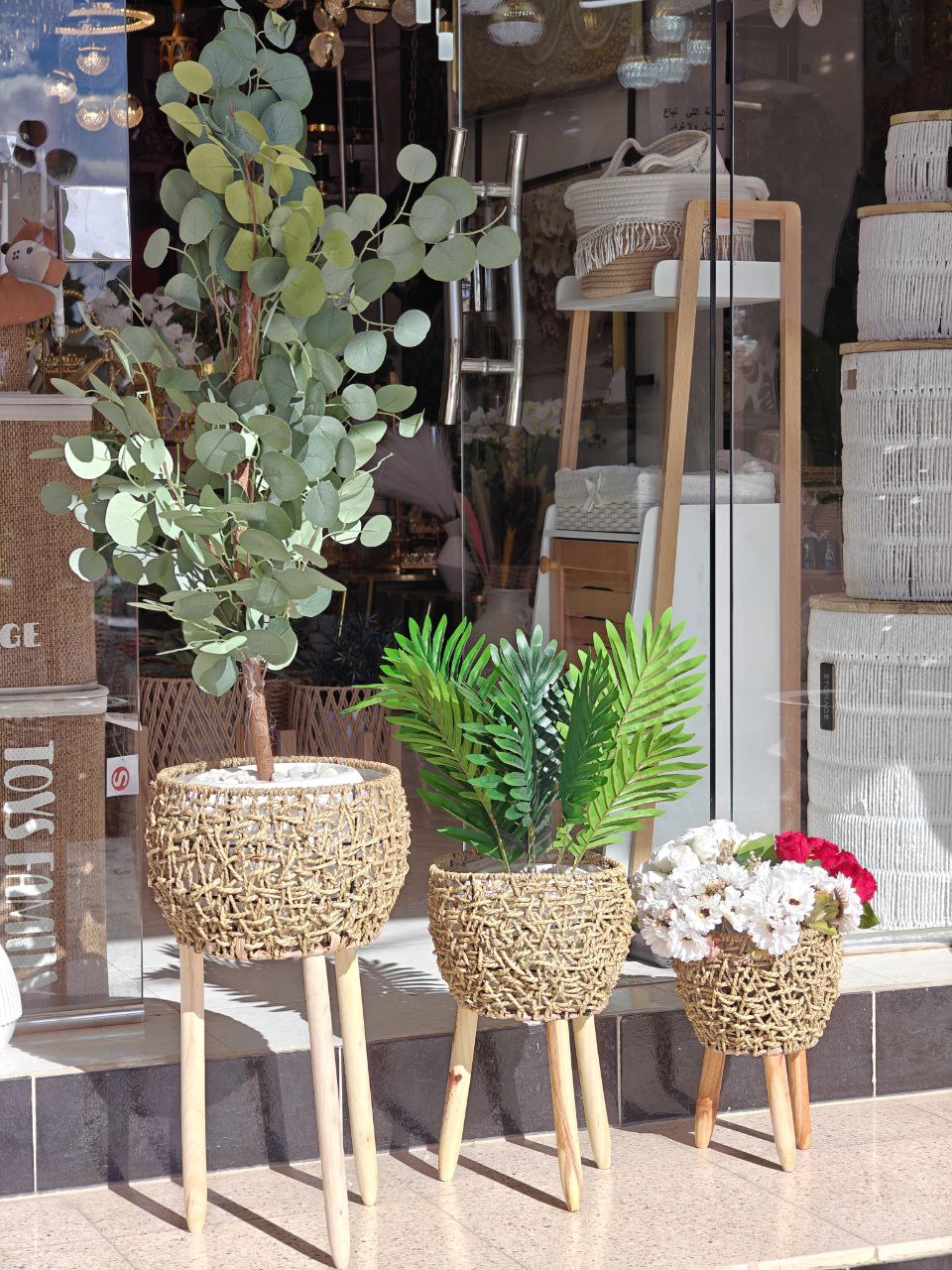 Cache pot osier pieds bois